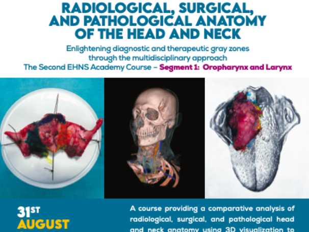Alba, Italy 31st August / 2nd september 2026 EHNS Academy Radiological, Surgical, and Pathological Anatomy of the Head and Neck